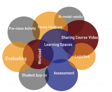 Negotiating Challenges with the Flipped Classroom
